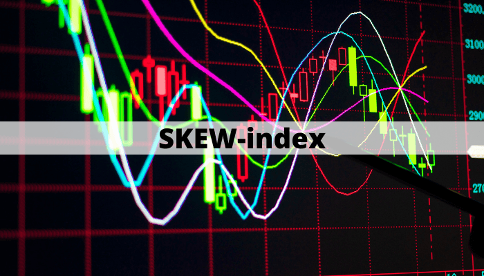 SKEW-index SKEW-index