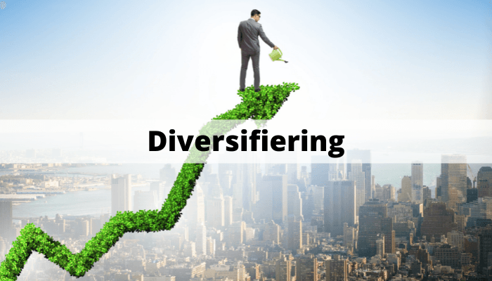 Diversifiering investeringar Diversifiering investeringar