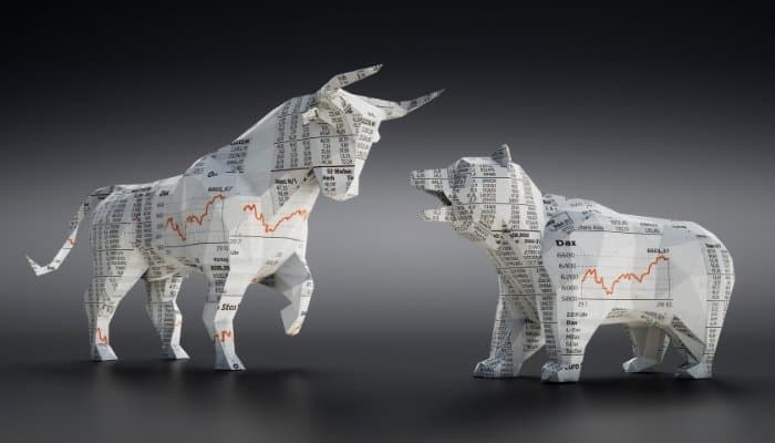 Bull and bear Bull and bear