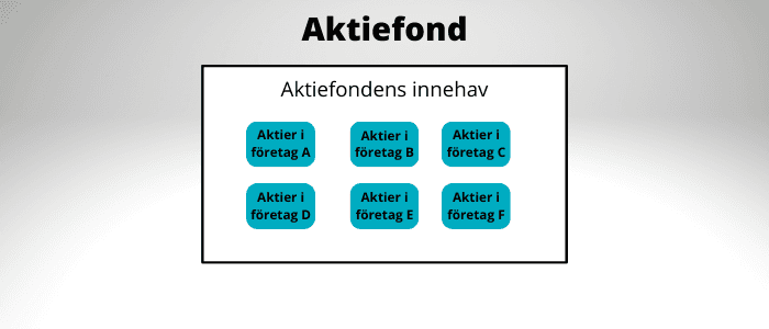 Aktiefond riskspridning Aktiefond riskspridning