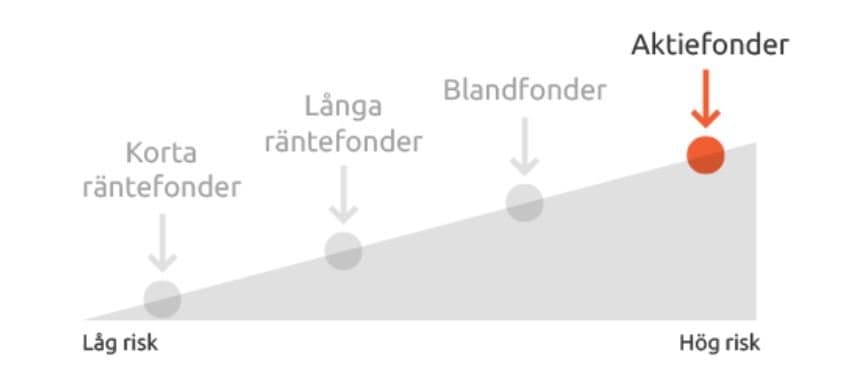 aktiefond risk aktiefond risk