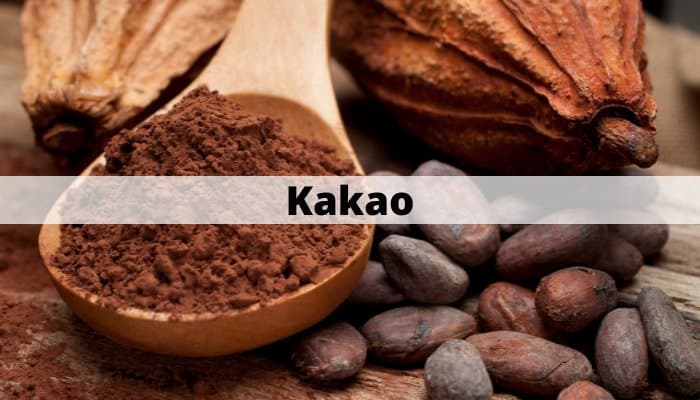 Investera i kakao Investera i kakao