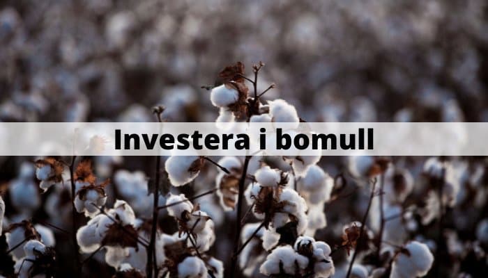 Investera i bomull Investera i bomull